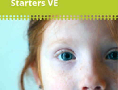 Webinar ‘Starten met ve’ op 19 november